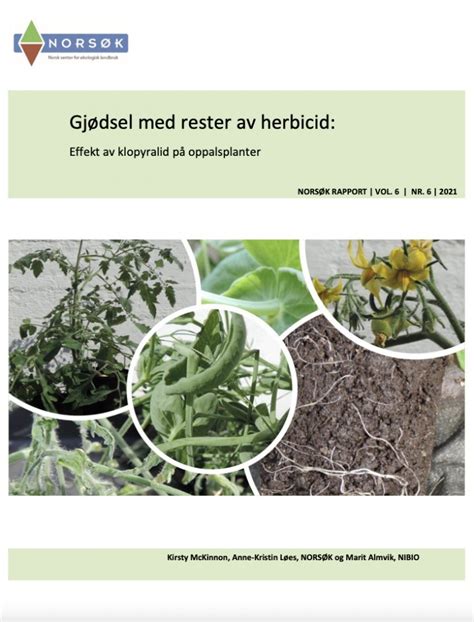 Beskyttelse Av Plenen Med Et Herbicid